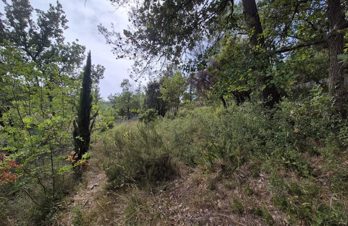 Terrain Le Luc - 1229 m² - Non constructible — photo 4