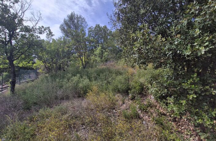Terrain Le Luc - 1229 m² - Non constructible — photo 5