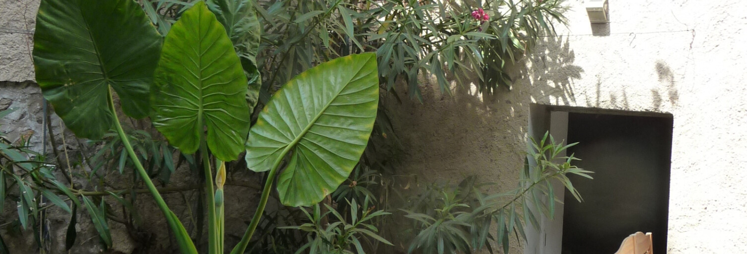Photo N° 2