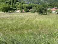 Terrain — photo 4