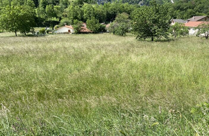 Terrain — photo 4