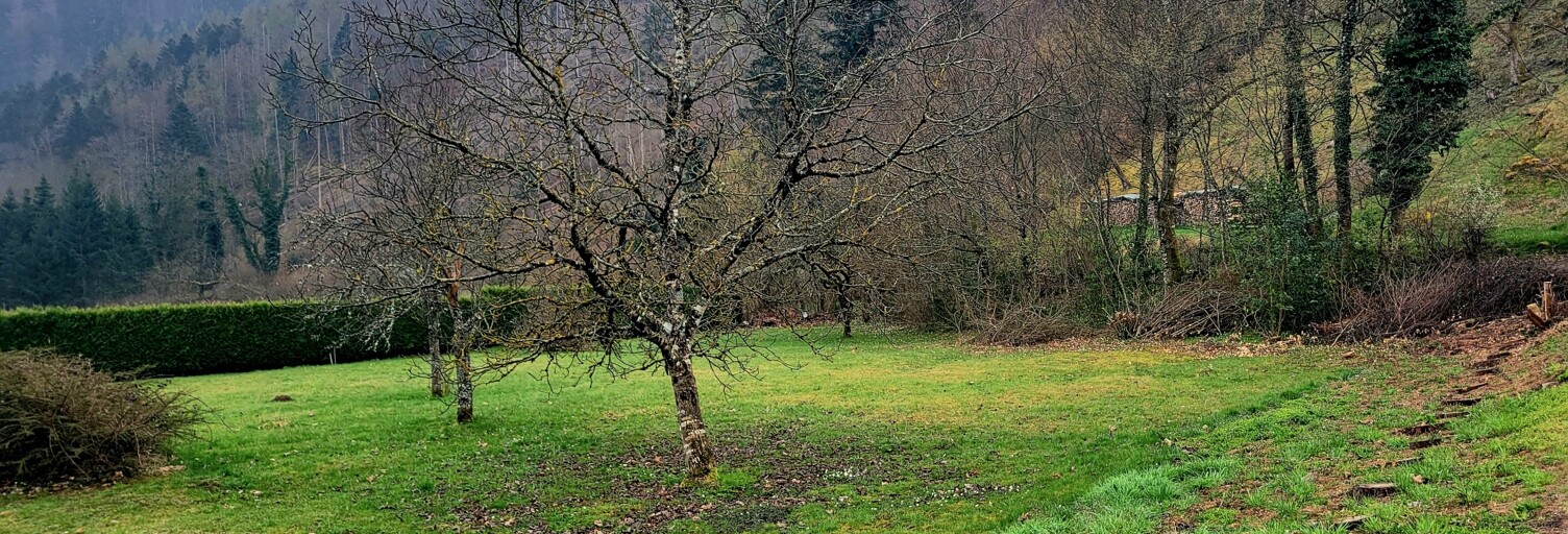 Terrain  1790 m² à vendre à Storckensohn (68470)