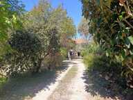 Demeure - 315m² - Vic-Fezensac — photo 2