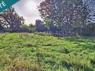 Terrain Nozay 534 m² — photo 2