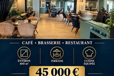 Commerce  45000 €