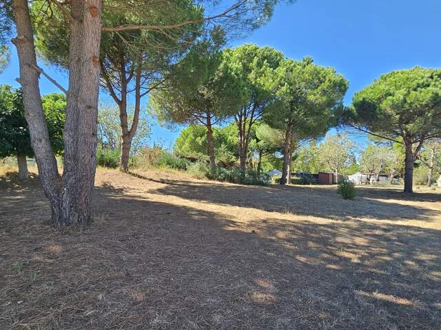 Terrain de loisir — photo du bien