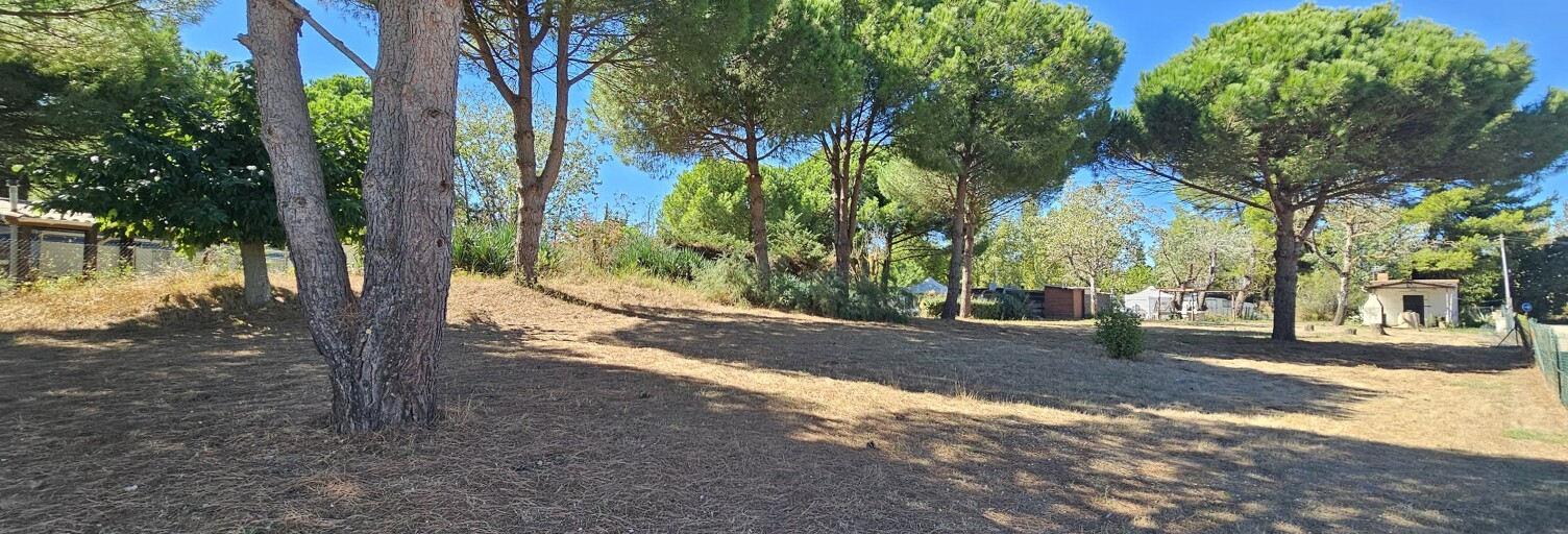 Terrain  1667 m² à vendre à Vias (34450)