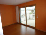 F3 - TERRASSE ET PARKING - SAINT PRIEST EN JAREZ — photo 2