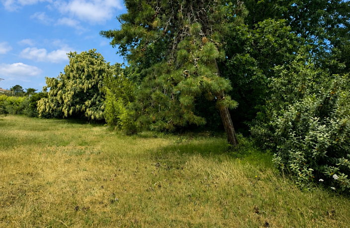 Vente Terrain 3 524 m&sup2; — photo 2