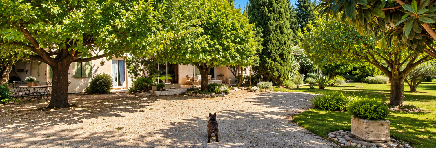 Maison 6 Pièces 162 m² à vendre à Saint-Andiol (13670)