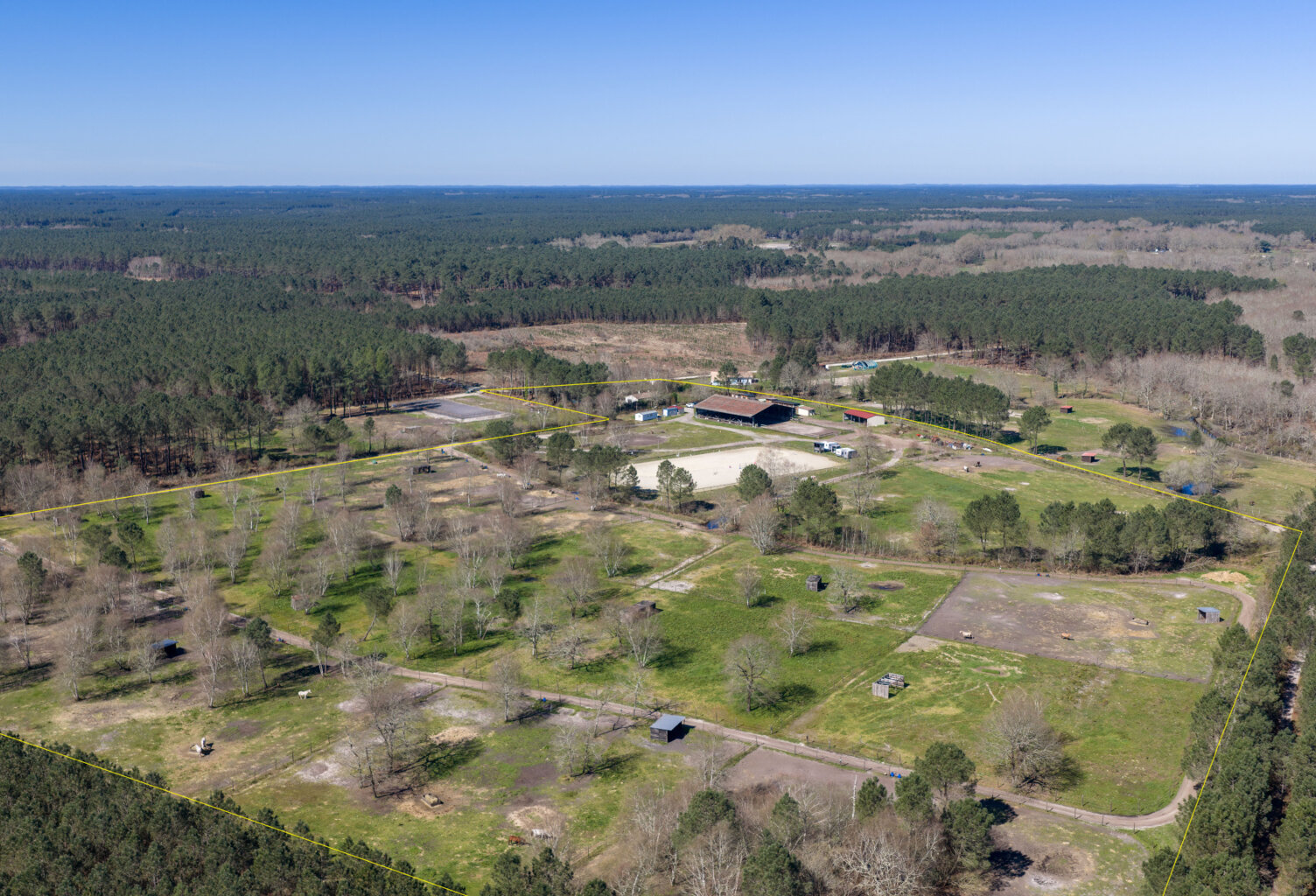 À 20 minutes de Lacanau, sur plus de 10 hectares, écurie de — photo 1