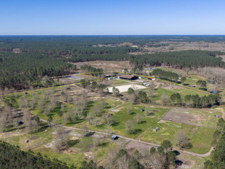 À 20 minutes de Lacanau, sur plus de 10 hectares, écurie de — photo 1