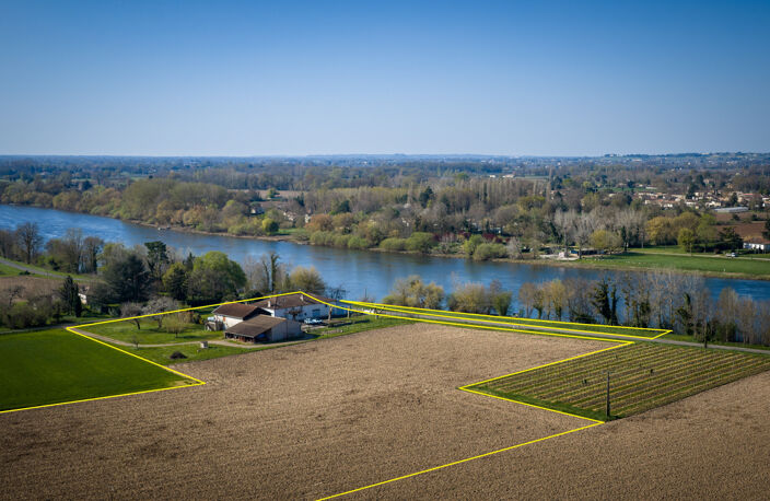 À 20 min de Saint-Émilion et 10 min de Branne, propriété à v — photo 4