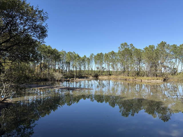 À 30 minutes de Bordeaux et 45 minutes d'Arcachon, domaine a — photo du bien