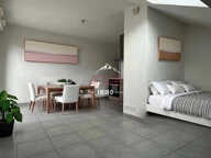 APPARTEMENT STUDIO DERNIER ETAGE - 74100 VETRAZ MONTHOUX — photo 3