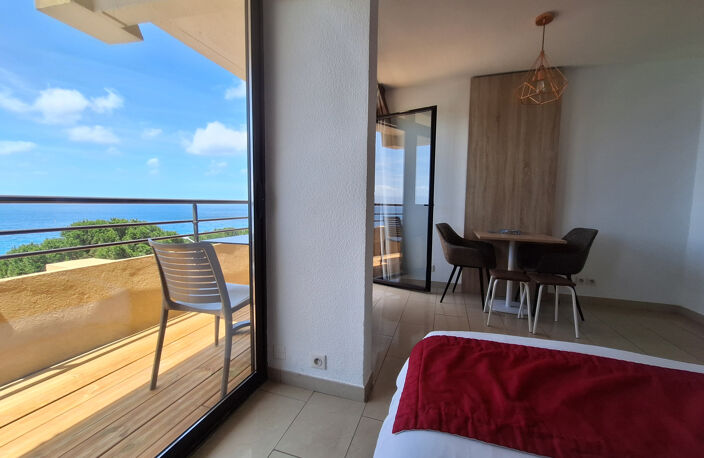 STUDIO 22M2  BELLE  VUE MER ROUTE DES SANGUINAIRES — photo 3