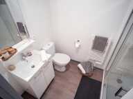 Spécial Investisseur Campus des Minimes Studio 17.30m² — photo 4