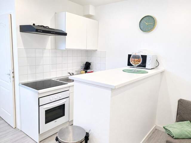 Appartement meublé et rénové à neuf- 2 pièces  (21) — photo du bien