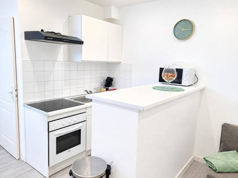 Appartement meublé et rénové à neuf- 2 pièces  (21) — photo 1