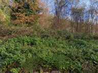 Terrain à vendre de 1030  DIO ET VALQUIERES (34) — photo 2