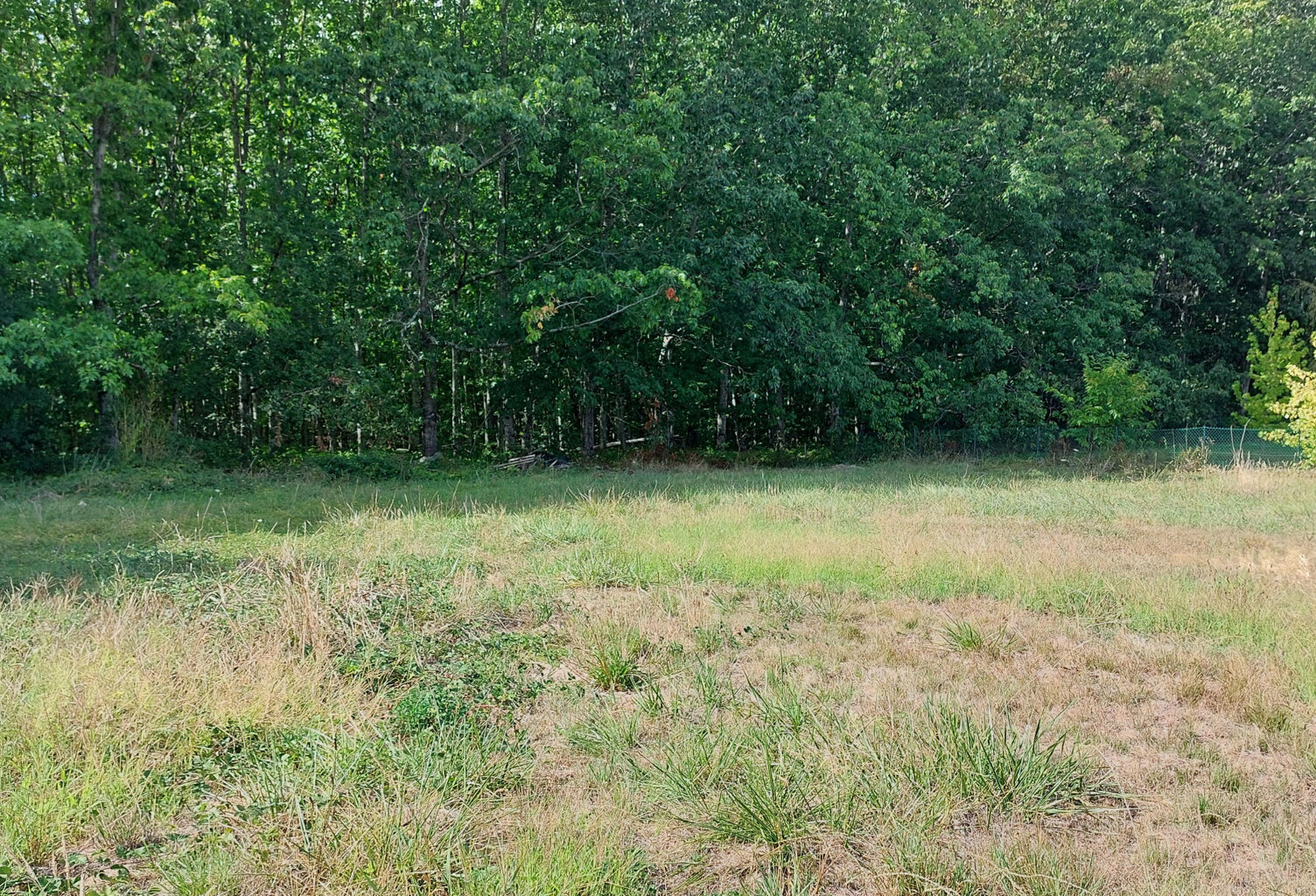 Terrain à vendre  MONTAUBAN (82) — photo 1