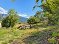 DULLIN (73610) : Terrain de 578 m², non viabilisé — photo 2
