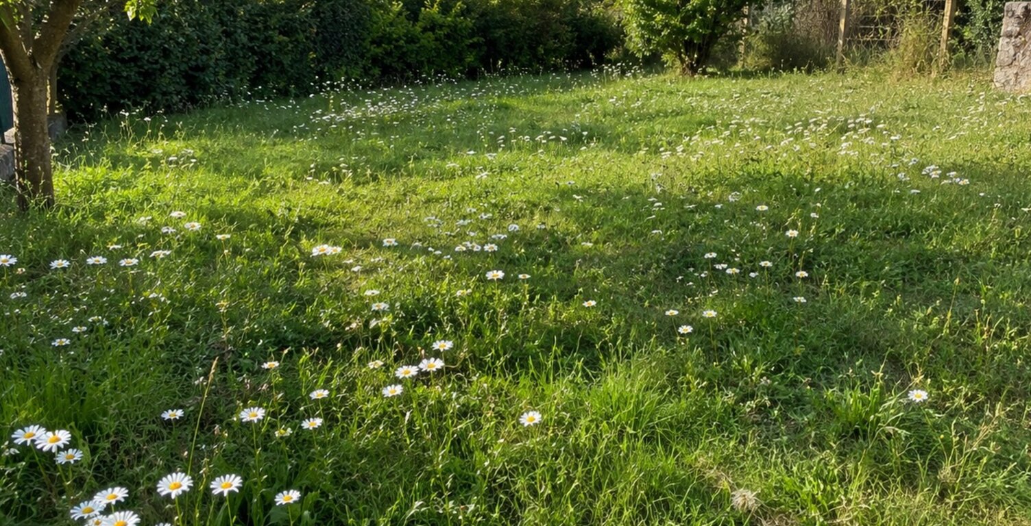 À VENDRE – TERRAIN DE 880 M² À VAL-DE-VIRVÉE — photo 1