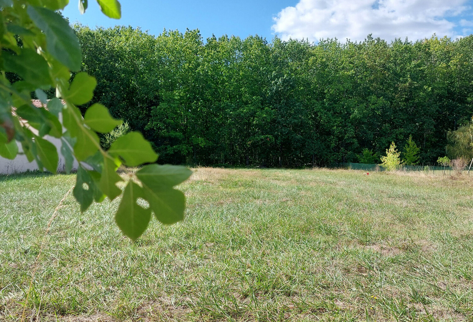 Terrain à vendre de 1 032,00 m² MONTAUBAN (82) secteur Saint Martial — photo 1