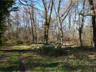 Propriété de Chasse ou d'Agrément de 60 hectares en Sologne — photo 3
