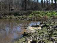 Propriété de Chasse ou d'Agrément de 60 hectares en Sologne — photo 4