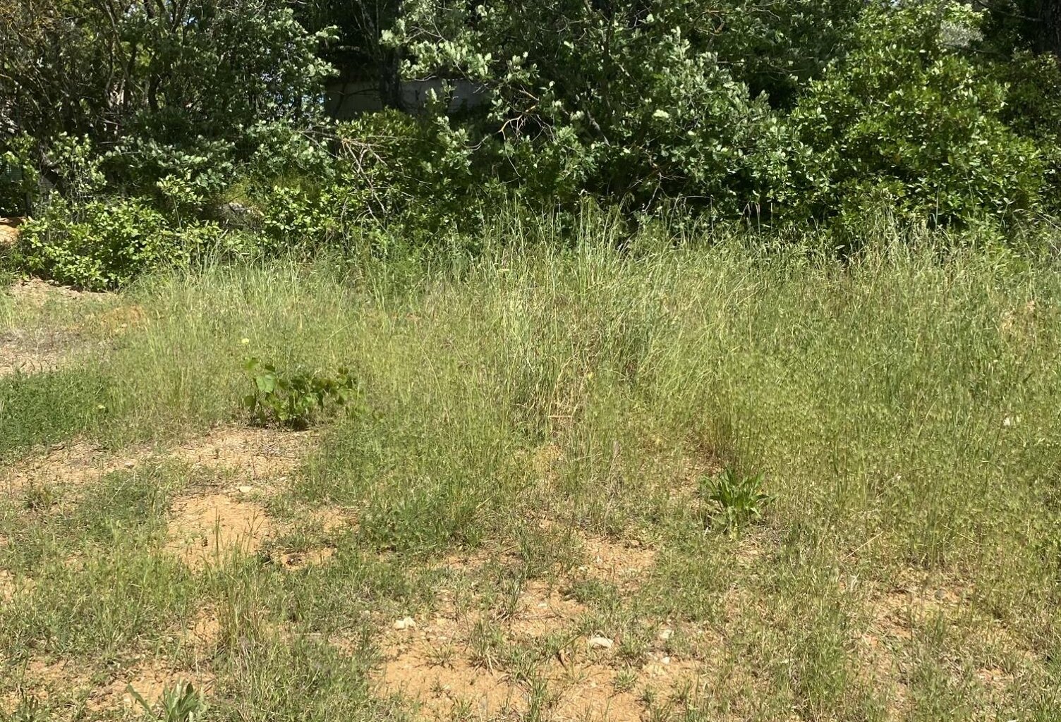 Vente terrain à construire 605 m² Saint-Maximin-la-Sainte-Baume (83470) — photo 1