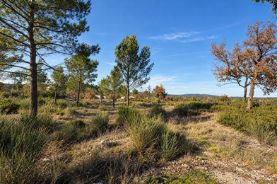 Terrain  165000 €