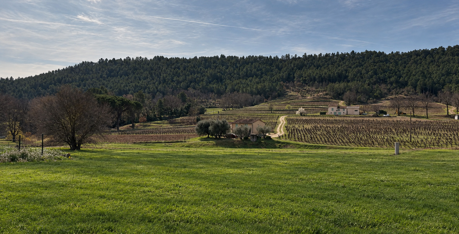 Vente terrain à construire 1500 m² Draguignan (83300) — photo 1