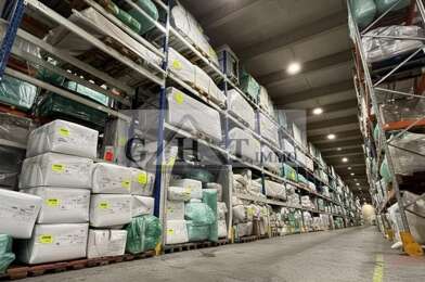 Local industriel  3225000 €