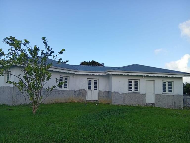 Maison T3 neuve avec studio indépendant à louer au Lamentin — photo 1