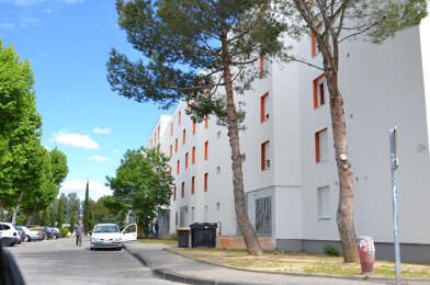 Appartement 3 pièces 589 €