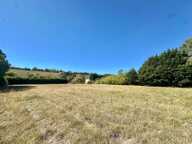 TERRAIN CONSTRUCTIBLE DE 4 278 m² – ENVIRONNEMENT CALME — photo 3