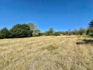 TERRAIN CONSTRUCTIBLE DE 4 278 m² – ENVIRONNEMENT CALME — photo 4