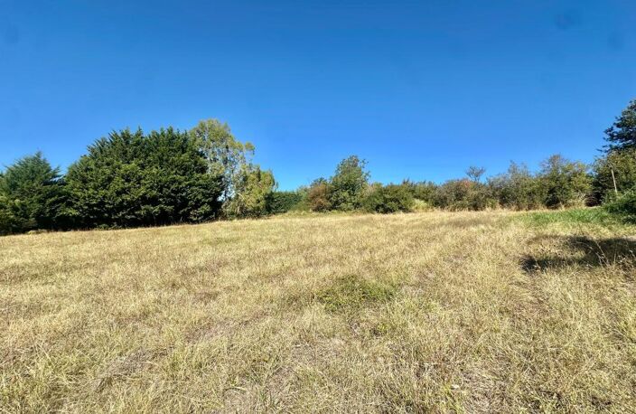 TERRAIN CONSTRUCTIBLE DE 4 278 m² – ENVIRONNEMENT CALME — photo 4
