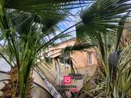 29950 BENODET CLOHARS FOUESNANT - Maison avec piscine3 chambres — photo 2