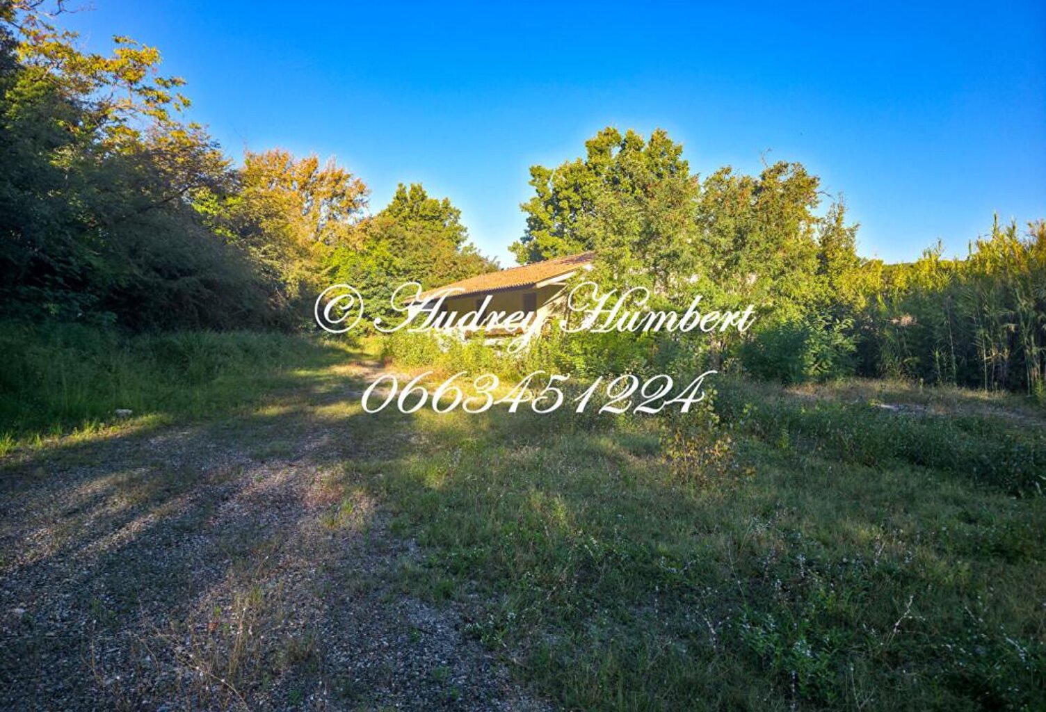 EXCLUSIVITE, PIERREVERT, ensemble immobilier composé d'un ENTREPOT + TERRAIN CONSTRUCTIBLE de 4000 m² — photo 1