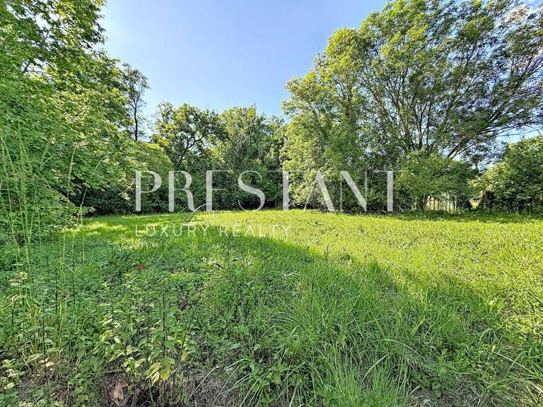 Terrain — photo 1