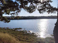 A VENDRE A LANNILIS — photo 2