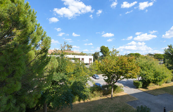 APPARTEMENT T2 MONTOLIVET — photo 2