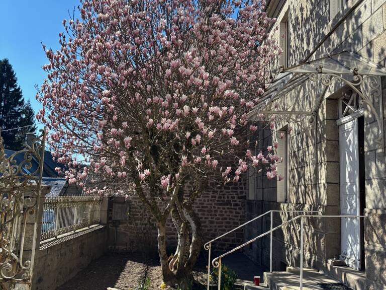 Vente Maison de campagne 6 pièces — photo 1