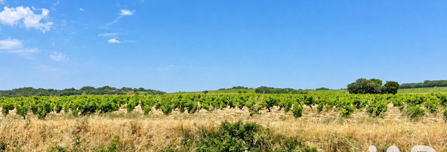 Terrain  650 m² à vendre à Bédarrides (84370)
