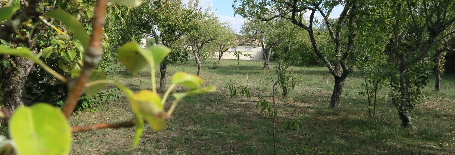 Terrain  938 m² à vendre à Chauvigny (86300)