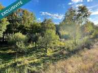 Deux maisons + grange et dépendances  env. 1 650 m² de terrain  Coupray — photo 2