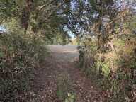 Vente Terrain agricole 18 190 m&sup2; — photo 2