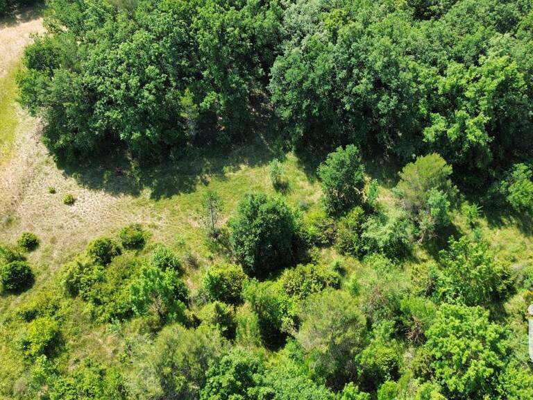 Vente Terrain agricole 12 527 m&sup2; — photo 1